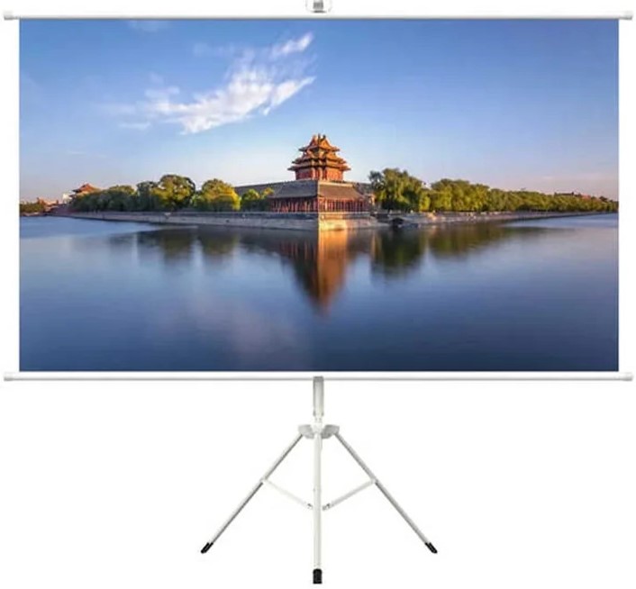 HTPNEO 100 Inch Portable Projector Screen With