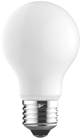 latest product